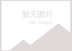 山阳县晓夏水泥有限公司